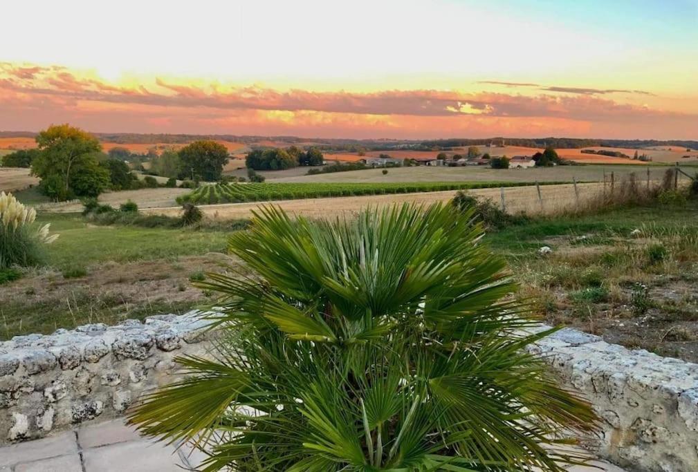 French Farmhouse Retreat With Pool & Superb Views. Blanzac  Bagian luar foto